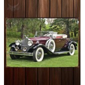 Металлическая табличка Packard Deluxe Eight Model 840 Roadster (472)